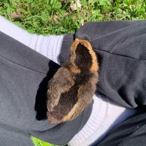 Meet your Posher, Alyssa